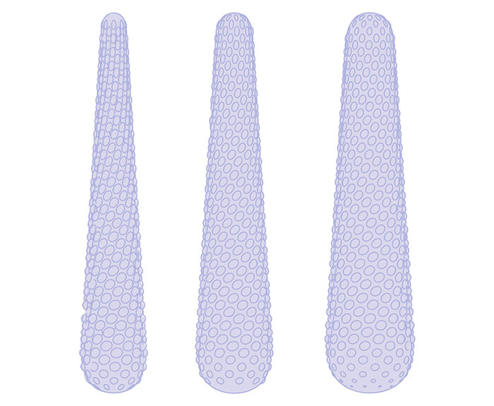 Line-art illustrations of 3 Dilators